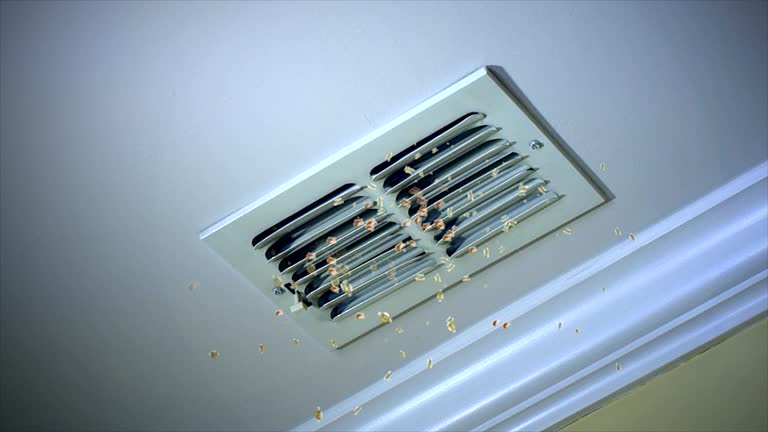 Best Air Vent Cleaning Services  in Keyes, CA